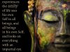 buddha-quote-about-unity