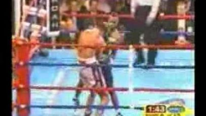 Roy Jones Jr. – The Unstoppable